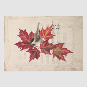 Papier Mousseline Oiseau de Chickadee Rouge Automne Feuilles Musique