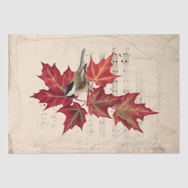 Papier Mousseline Oiseau de Chickadee Rouge Automne Feuilles Musique (Recto)