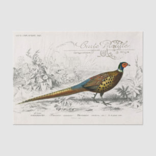 Papier Mousseline Oiseau Faisan Français Carte Postale Découpage Vin