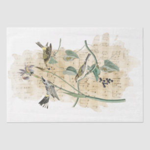 Papier Mousseline Oiseau Musique Iris Fleur Aquarelle Découpage