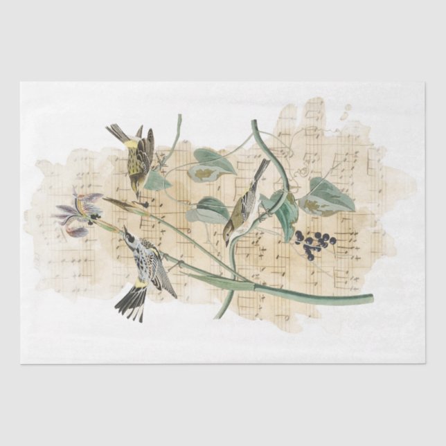 Papier Mousseline Oiseau Musique Iris Fleur Aquarelle Découpage (Recto)