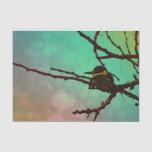 Papier Mousseline Oiseau Sur Une Branche -Aqua N Rose