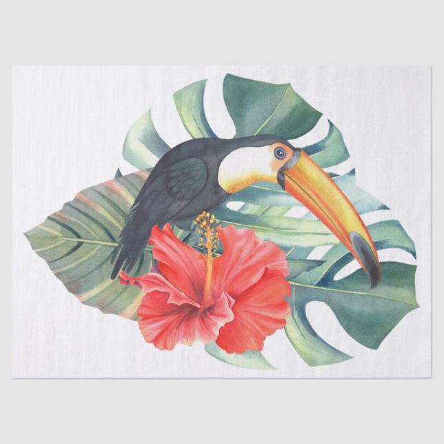 Papier Mousseline Oiseau tropical du Toucan (Recto)