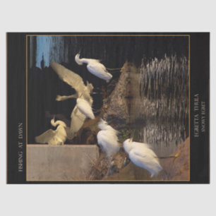 Papier Mousseline Oiseaux d'aigrettes de neige Papier de tissus de l