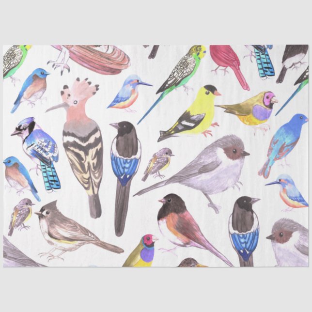 Papier Mousseline Oiseaux d'Amérique - animaux de compagnie et oisea (Recto)