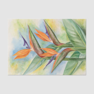 Papier Mousseline Oiseaux De Découpage Floraux Du Paradis Aquarelle