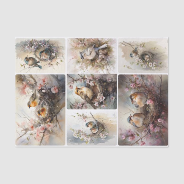 Papier Mousseline Oiseaux de printemps (Recto)