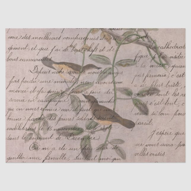 Papier Mousseline Oiseaux éphémères série Design Cinq (Recto)