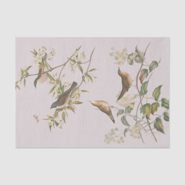 Papier Mousseline Oiseaux et feuille, mariage romantique (Recto)
