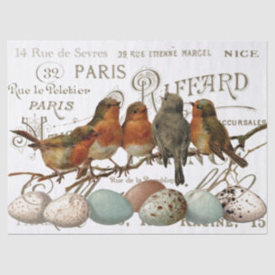 Papier Mousseline Oiseaux et Oeufs Vintages Noms de ville Français D