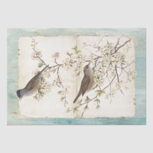 Papier Mousseline Oiseaux sur la branche de floraison Parchemin Turq