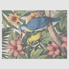 Papier Mousseline Oiseaux tropicaux Illustration audacieuse