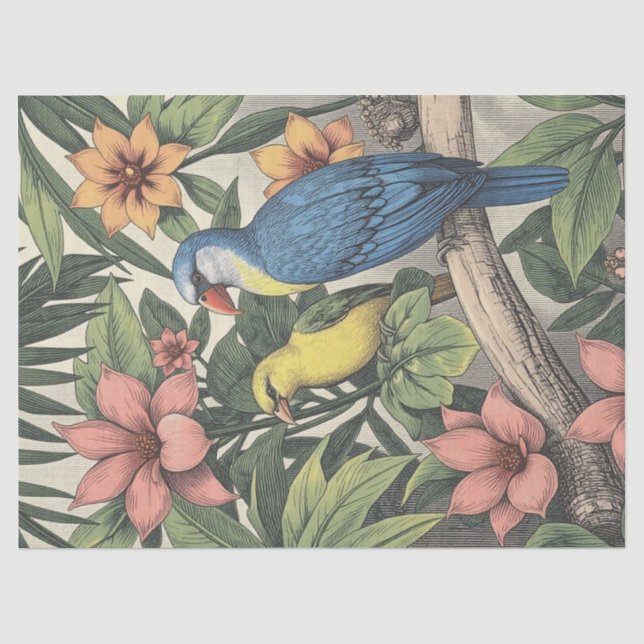 Papier Mousseline Oiseaux tropicaux Illustration audacieuse (Recto)