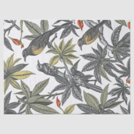 Papier Mousseline Oiseaux tropicaux Illustration audacieuse