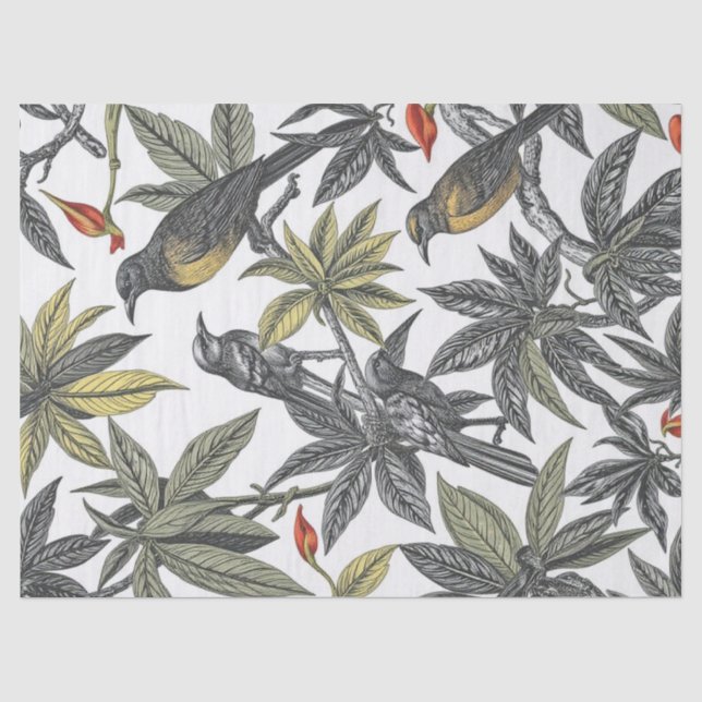Papier Mousseline Oiseaux tropicaux Illustration audacieuse (Recto)