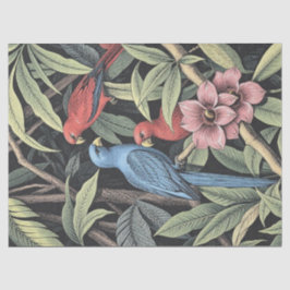 Papier Mousseline Oiseaux tropicaux Illustration audacieuse