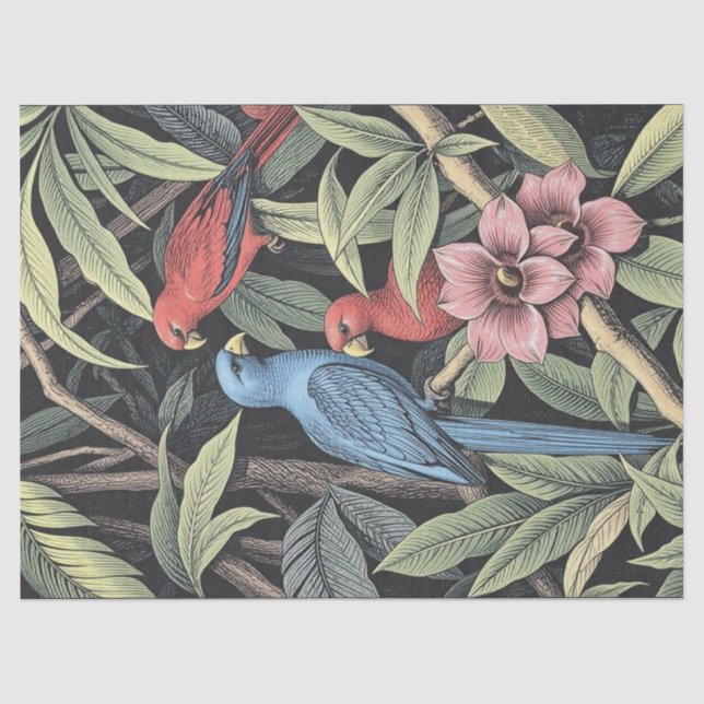 Papier Mousseline Oiseaux tropicaux Illustration audacieuse (Recto)