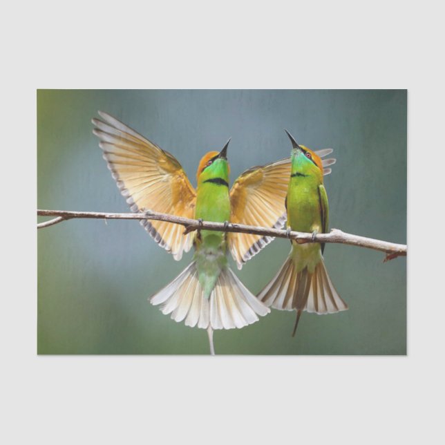 Papier Mousseline Oiseaux verts s'éternisent dans les arbres Photogr (Recto)