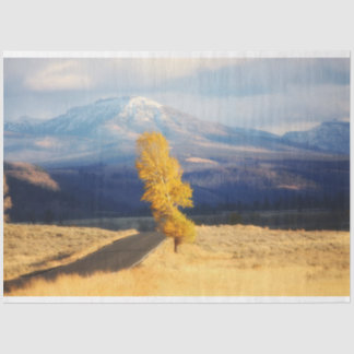 Papier Mousseline Open Road