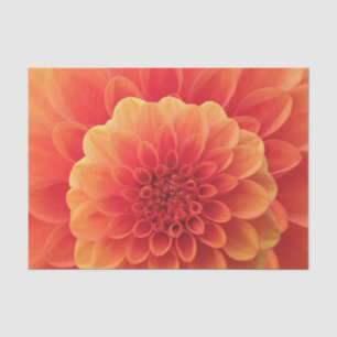 Papier Mousseline Orange Dahlia