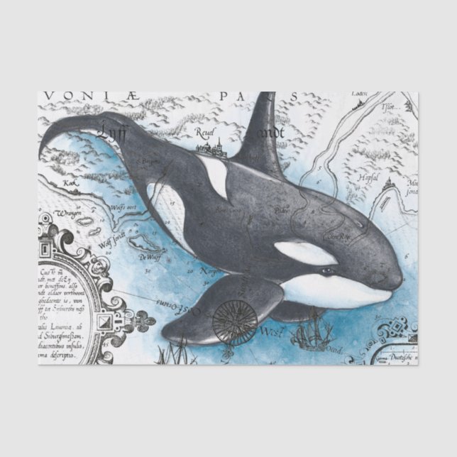 Papier Mousseline Orca Baleine Bleu Aquarelle Carte Nautique (Recto)