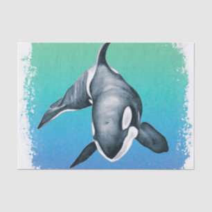 Papier Mousseline Orca Whale cristal Turquoise