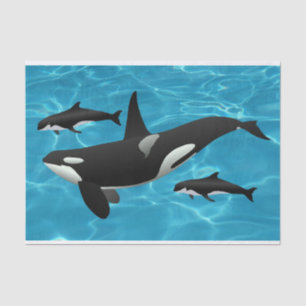 Papier Mousseline Orca Whales