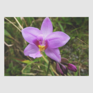 Papier Mousseline Orchidée sauvage violette Fleur tropicale