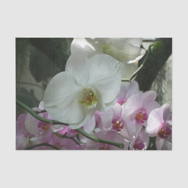 Papier Mousseline Orchidées blanches et violettes (Recto)