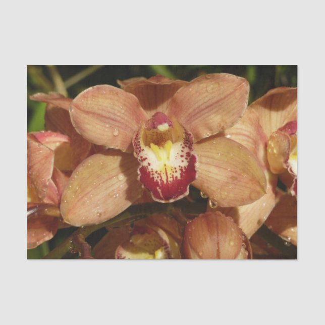 Papier Mousseline Orchidées de Pêche avec Raindrops Floral (Recto)