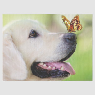 Papier Mousseline Oreiller À Lancer Du Labrador Et Du Papillon