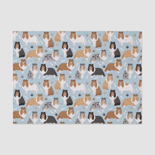 Papier Mousseline Os et pattes de protection (Recto)
