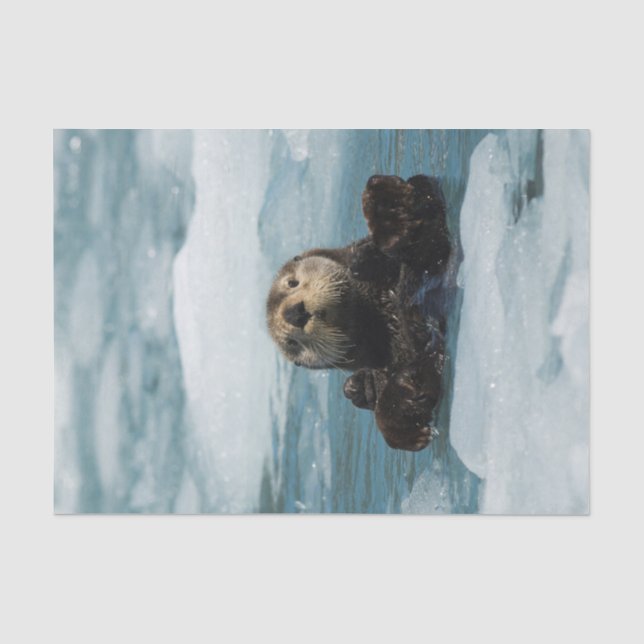 Papier Mousseline Otter flottante (Recto)