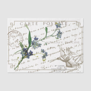 Papier Mousseline Oubliez-moi Pas Carte Postale Français Script Bird