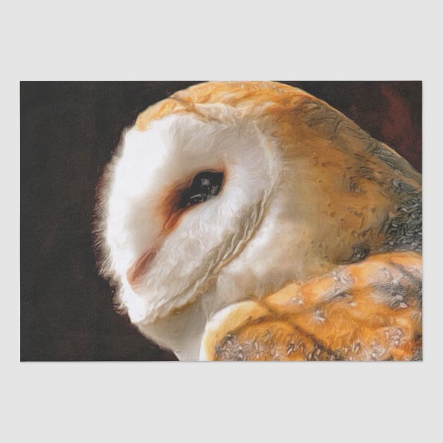 PAPIER MOUSSELINE OWLS (Recto)
