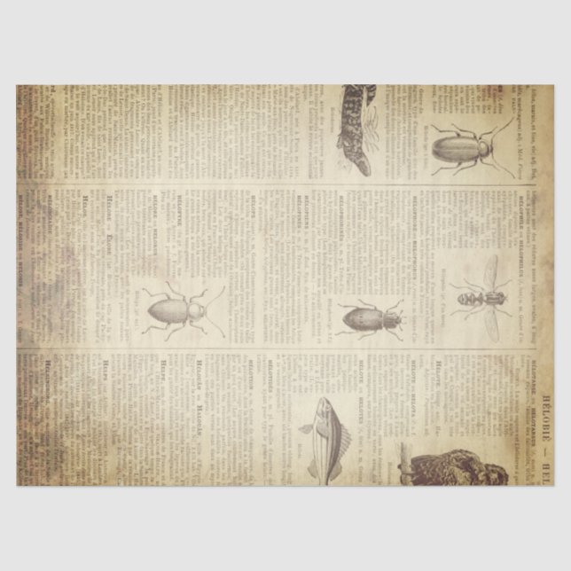 Papier Mousseline Page française grunge de dictionnaire (Recto)