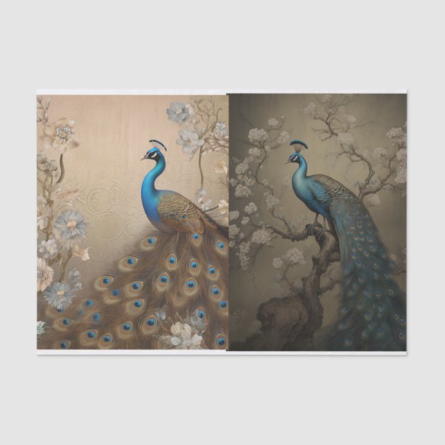 Papier Mousseline Page Tissue de paock (Recto)