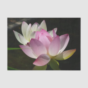 Papier Mousseline Paire de fleurs de Lotus II