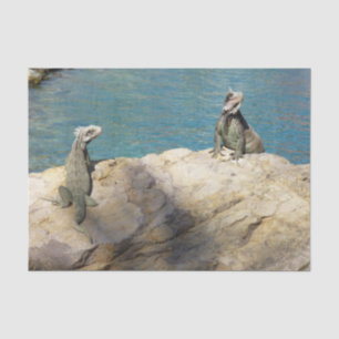 Papier Mousseline Paire de Iguanas Photographie de la faune tropical