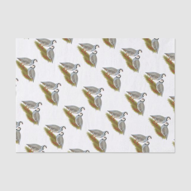 Papier Mousseline Paire de perdrix de Chukar (Recto)