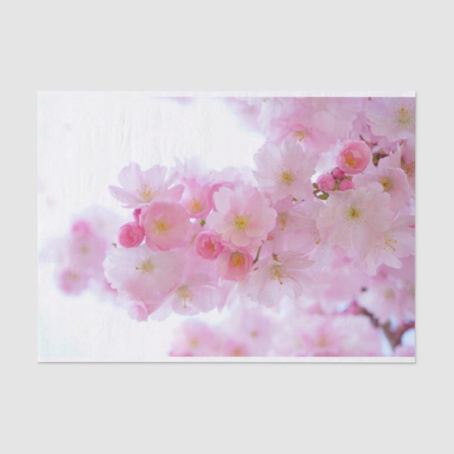 Papier Mousseline Pâlissez - les fleurs de cerisier roses (Recto)