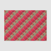 Palmier rouge