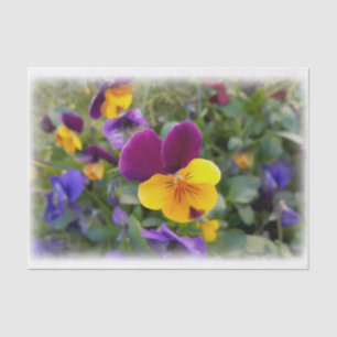 Papier Mousseline Pansies lumineuses