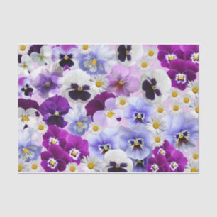 Papier Mousseline Pansy coloré et Fleurs marguerites