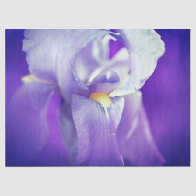 Papier Mousseline Papier cadeau Iris bleu (Recto)