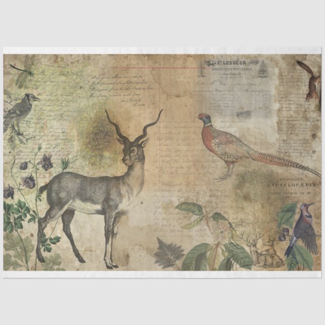 Papier Mousseline Papier de découpage Collage de chasseurs (Recto)