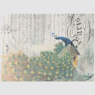 Papier Mousseline Papier de découpage Ephemera Peacock