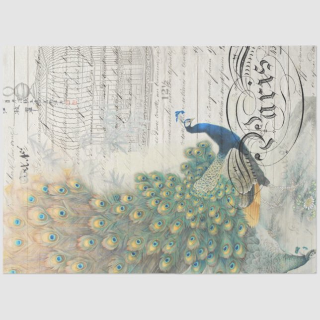 Papier Mousseline Papier de découpage Ephemera Peacock (Recto)