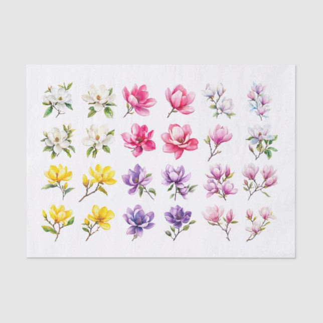 Papier Mousseline Papier de découpage Magnolia Assortiment (Recto)