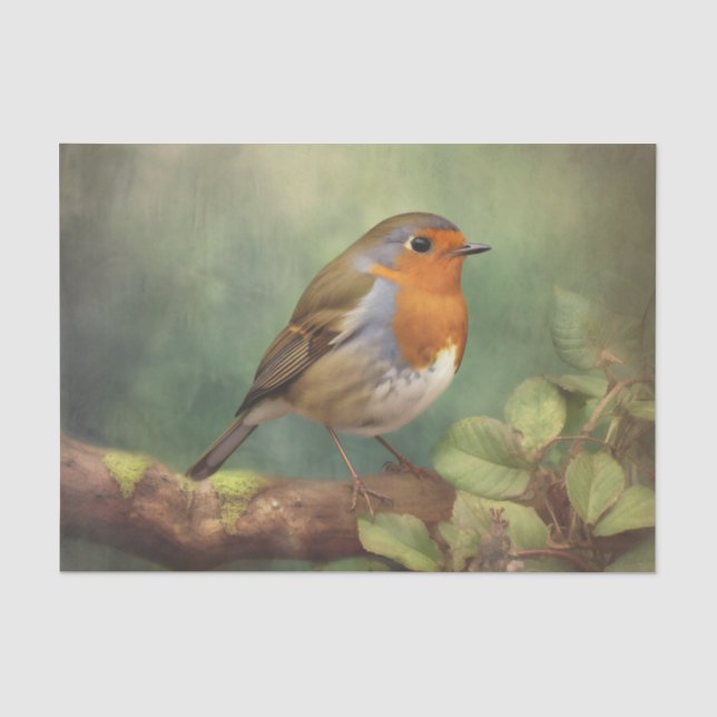 Papier Mousseline Papier de découpage ROBIN (Recto)